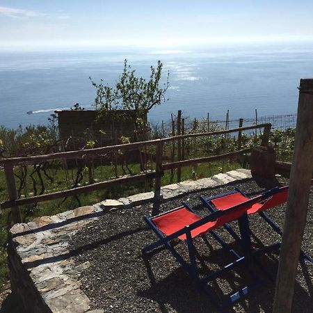 Il Nettare Agriturismo Riomaggiore Exterior photo
