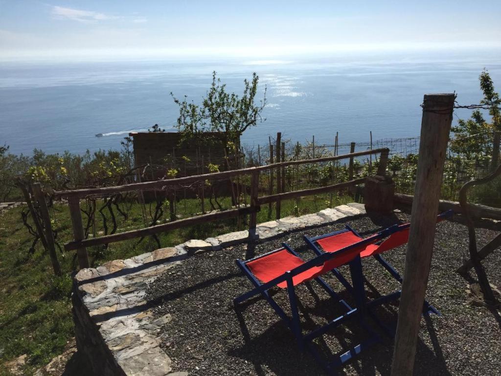 Il Nettare Agriturismo Riomaggiore Exterior photo
