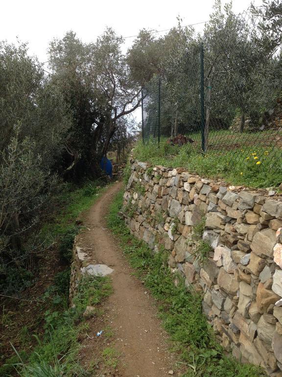 Il Nettare Agriturismo Riomaggiore Exterior photo