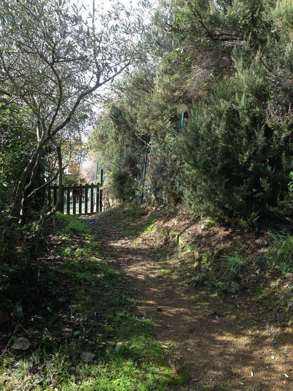 Il Nettare Agriturismo Riomaggiore Exterior photo